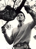 Italian villager in tree